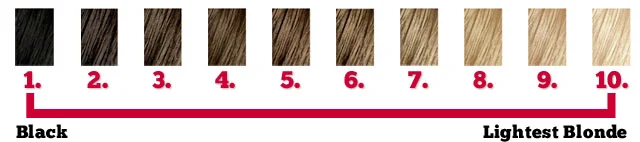 hair-color-levels.jpg