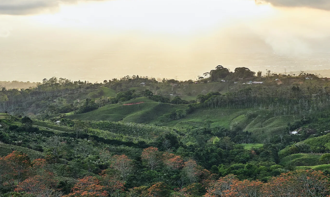 Screenshot 2026-02-10 at 2.16.54 PM.png