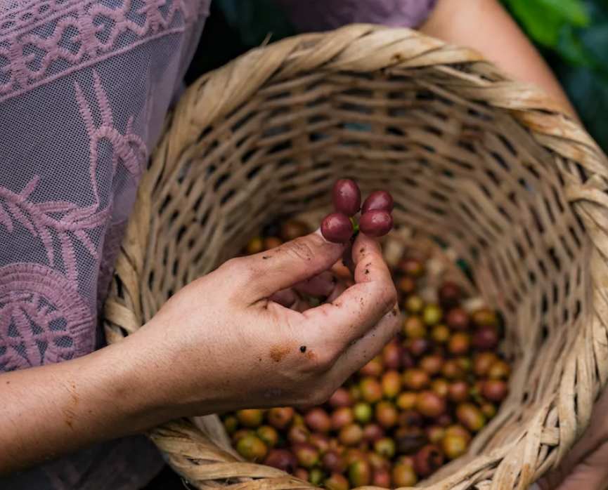 Screenshot 2026-02-16 at 10.31.59 AM.png