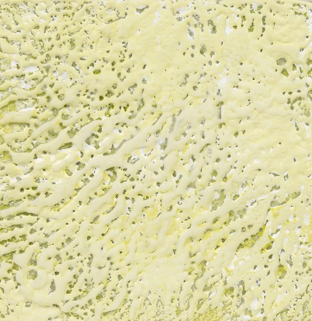 Seaweed