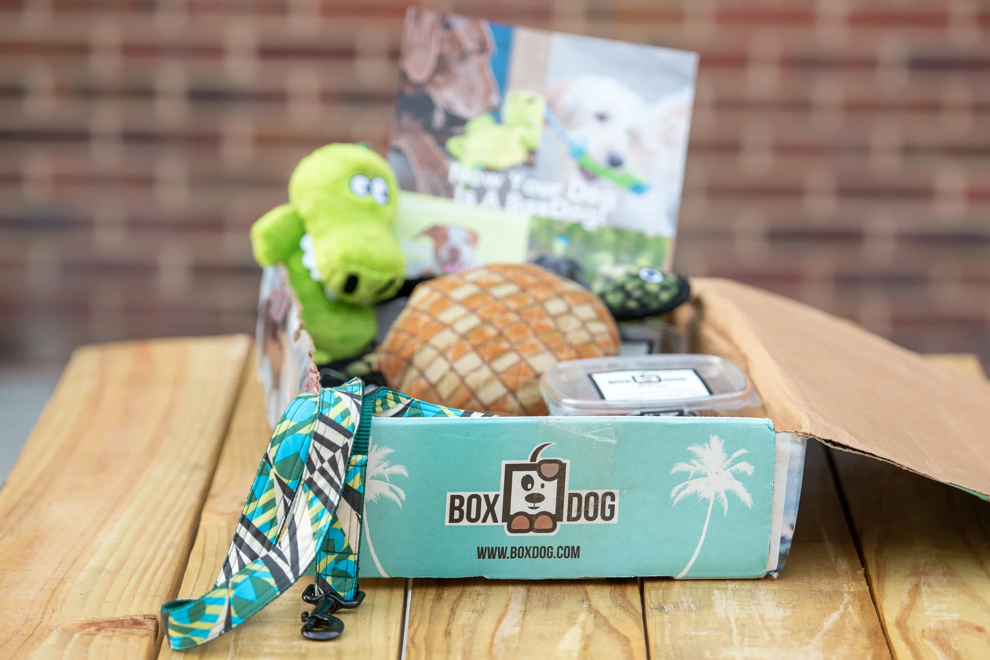 commercial pet photographer