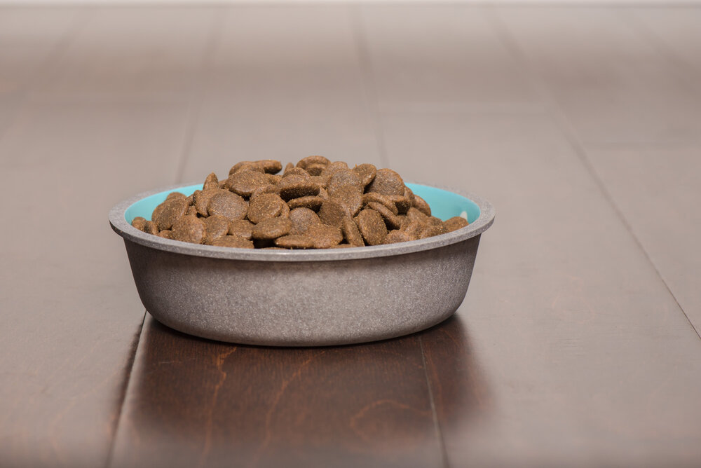How to change your dog’s food
