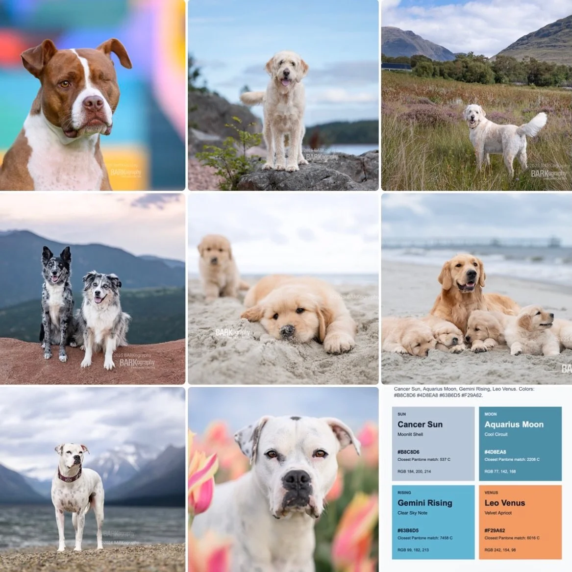 I did the Pantone Birth Chart Palette Generator. I don&rsquo;t follow astrological signs but these colors certainly line up with some of my favorite photos I&rsquo;ve taken and favorite places I&rsquo;ve visited.
⠀⠀⠀⠀⠀⠀⠀⠀⠀
2nd row, first photo: Have 