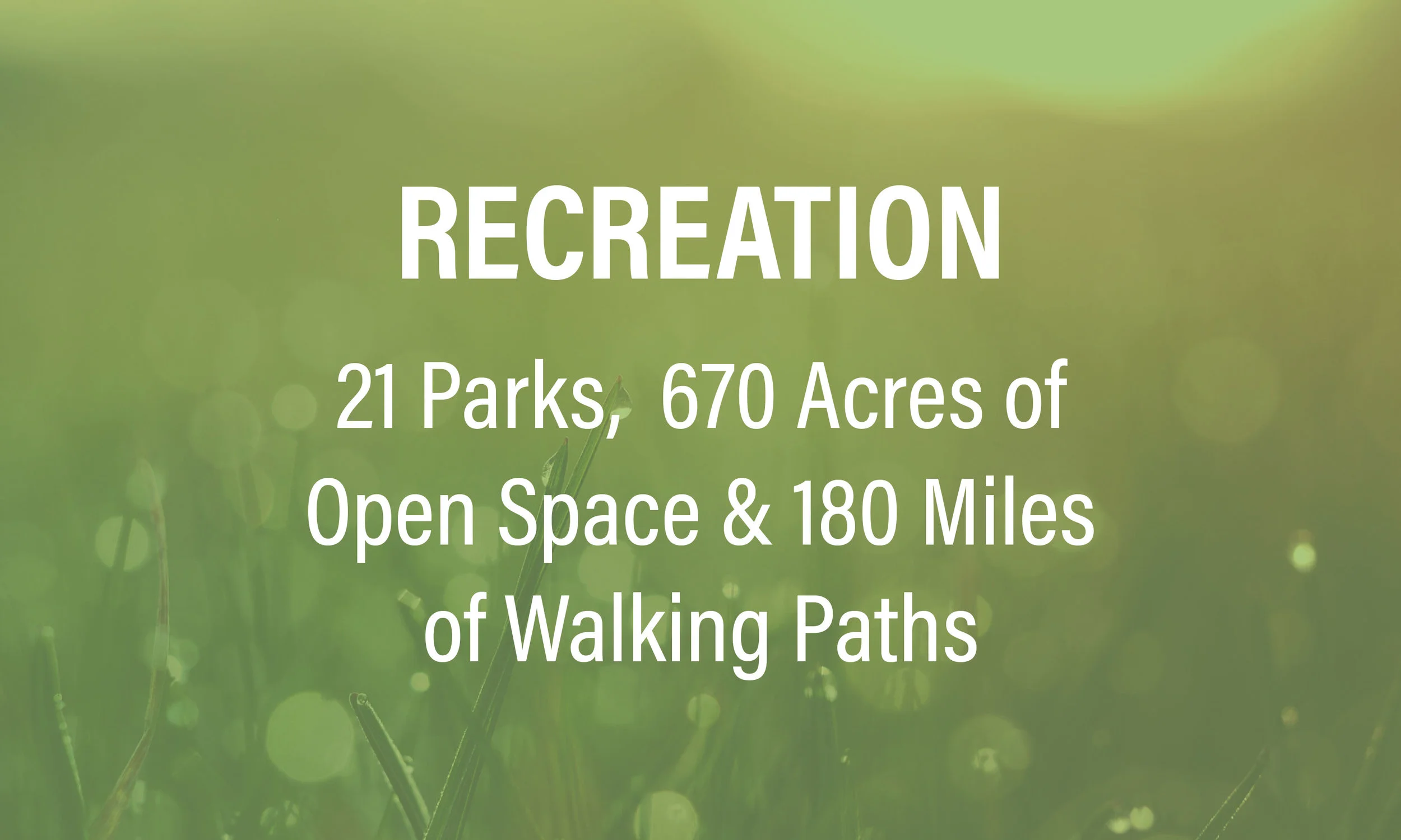 Algonquin is Home to Numerous Outdoor Amenities