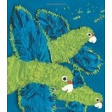 Parrots+over+Puerto.jpg