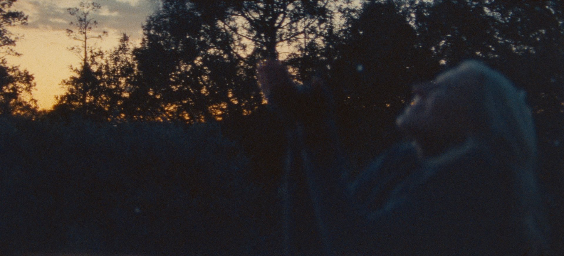 DC_CCV001_1.9.1.jpg