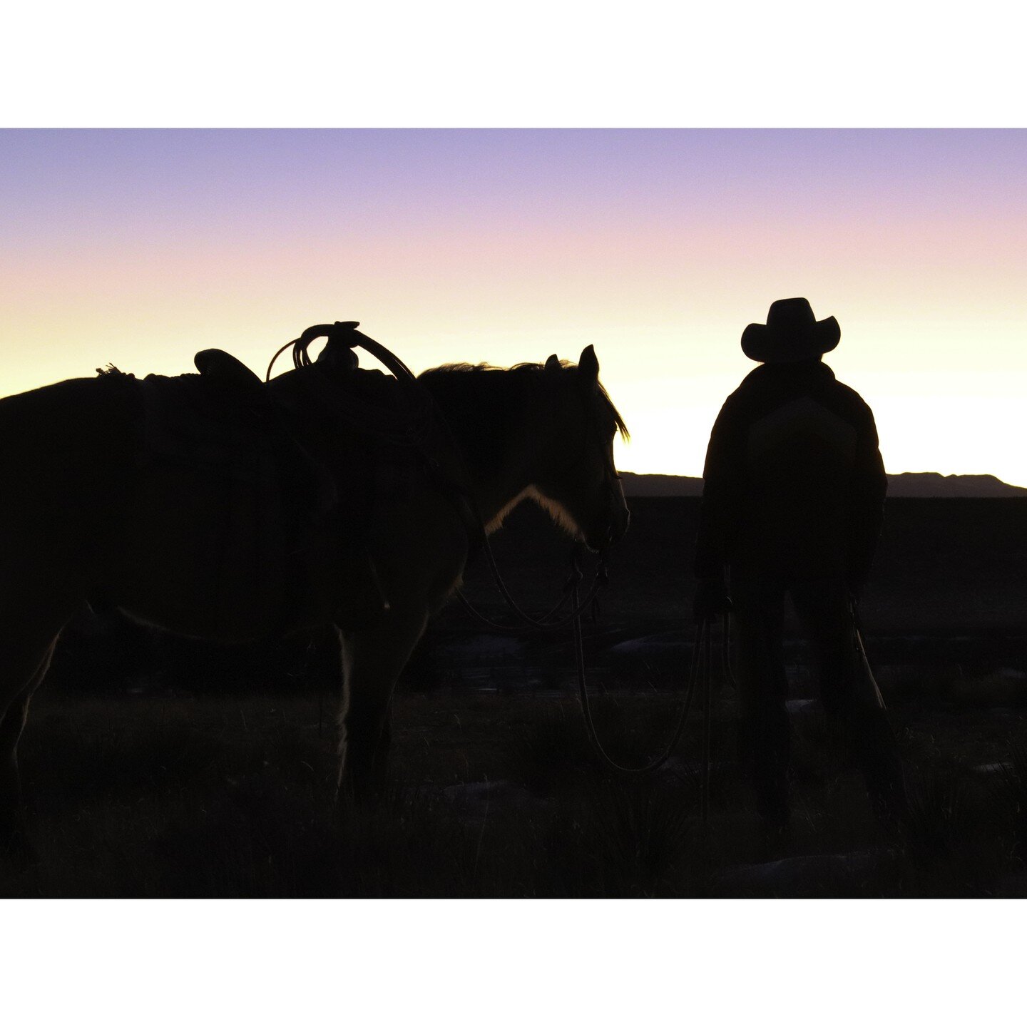 I had a phenomenal (and finger freezing) morning on a Westcliffe ranch, photographing horses and cowgirls as the sun rose.

#westcliffe #sunrise #cowgirl #wrangler #horses #coloradohorses #coloradophotographer