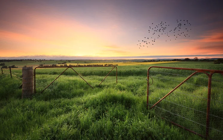 iStock-636919550.jpg