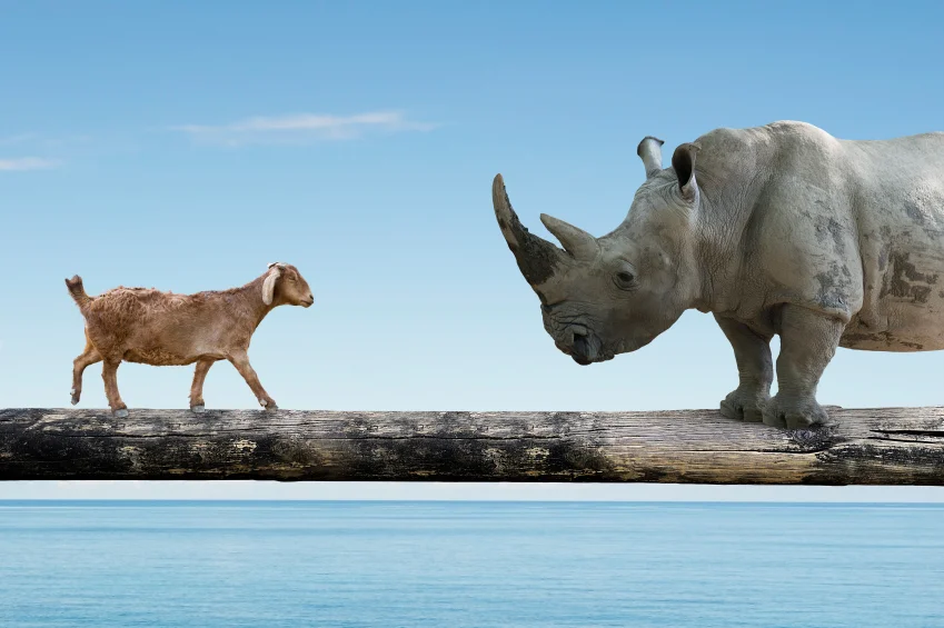iStock_000069037555_Small.jpg