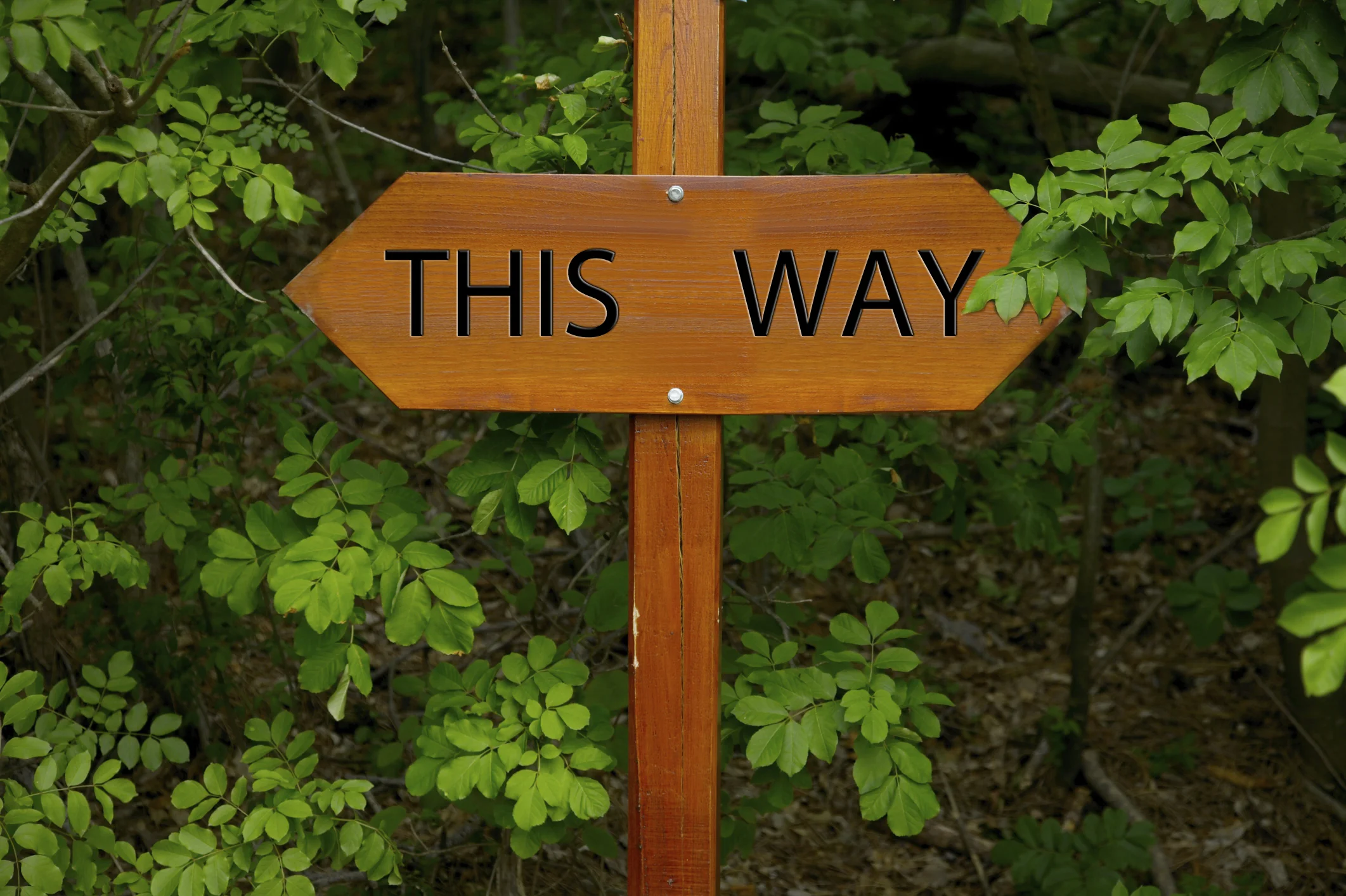sign.jpg