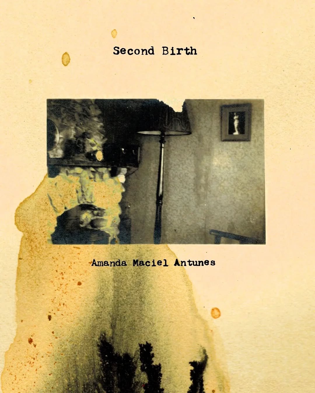The #vignettes collected in Second Birth comprise of images from Ana&iuml;s Nin's original diaries archived at the #UniversityofCaliforniaLosAngeles that were consulted by Amanda Maciel Antunes to accompany her own meditations on #motherhood, #memory