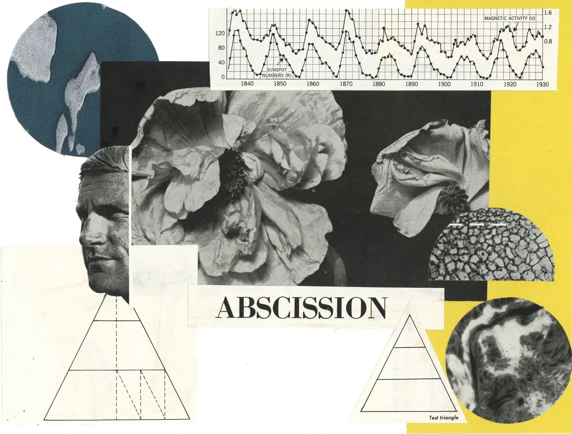 abscission, 2018
