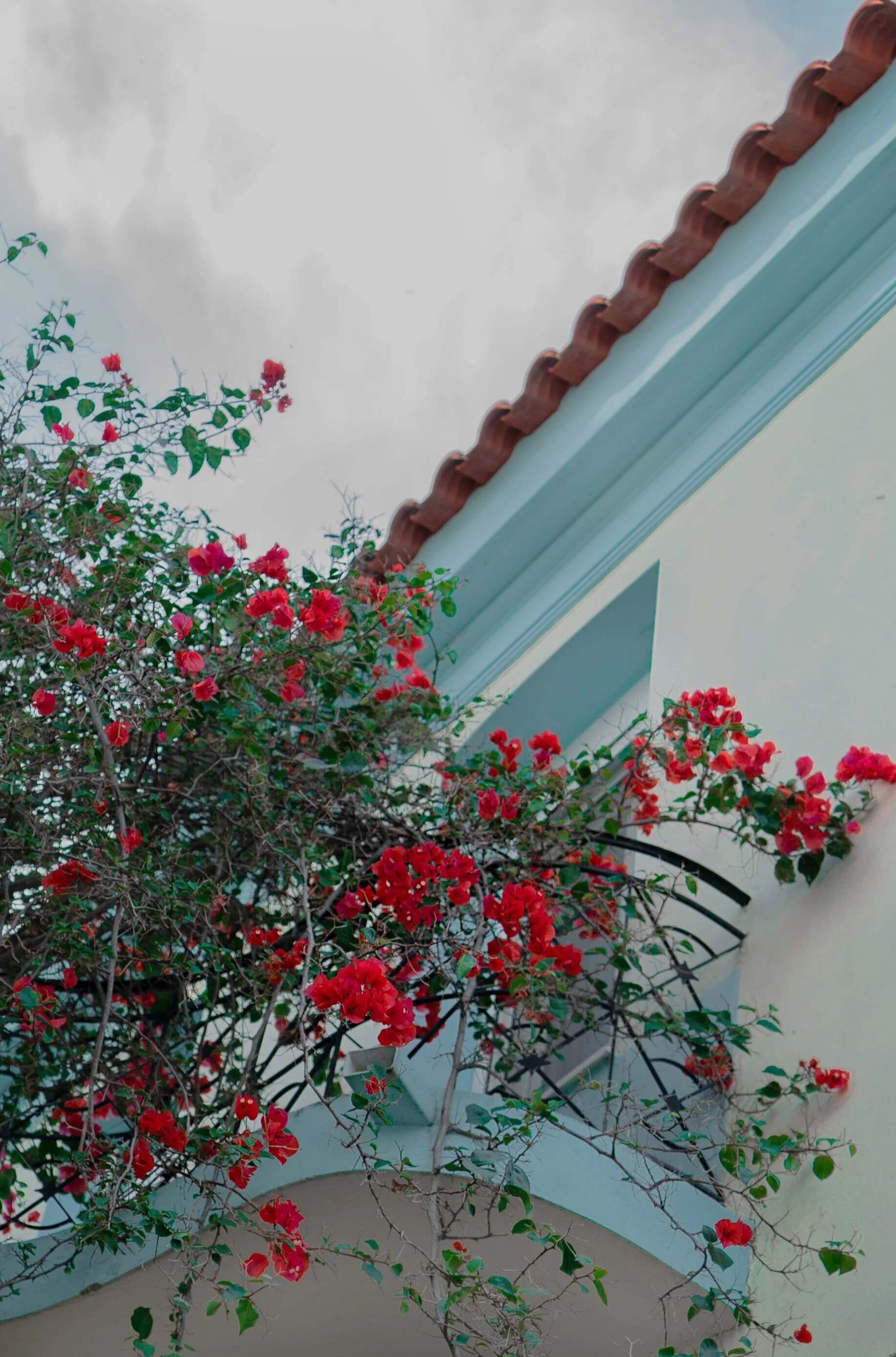 Samos, Greece, 2019