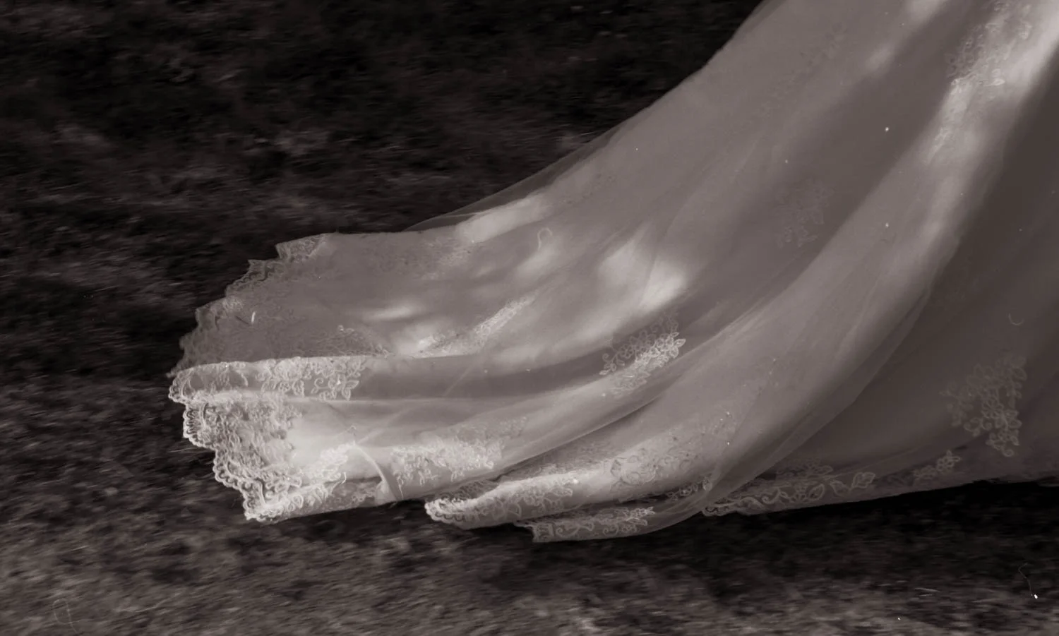 July 27 2019 A_S-168.jpg