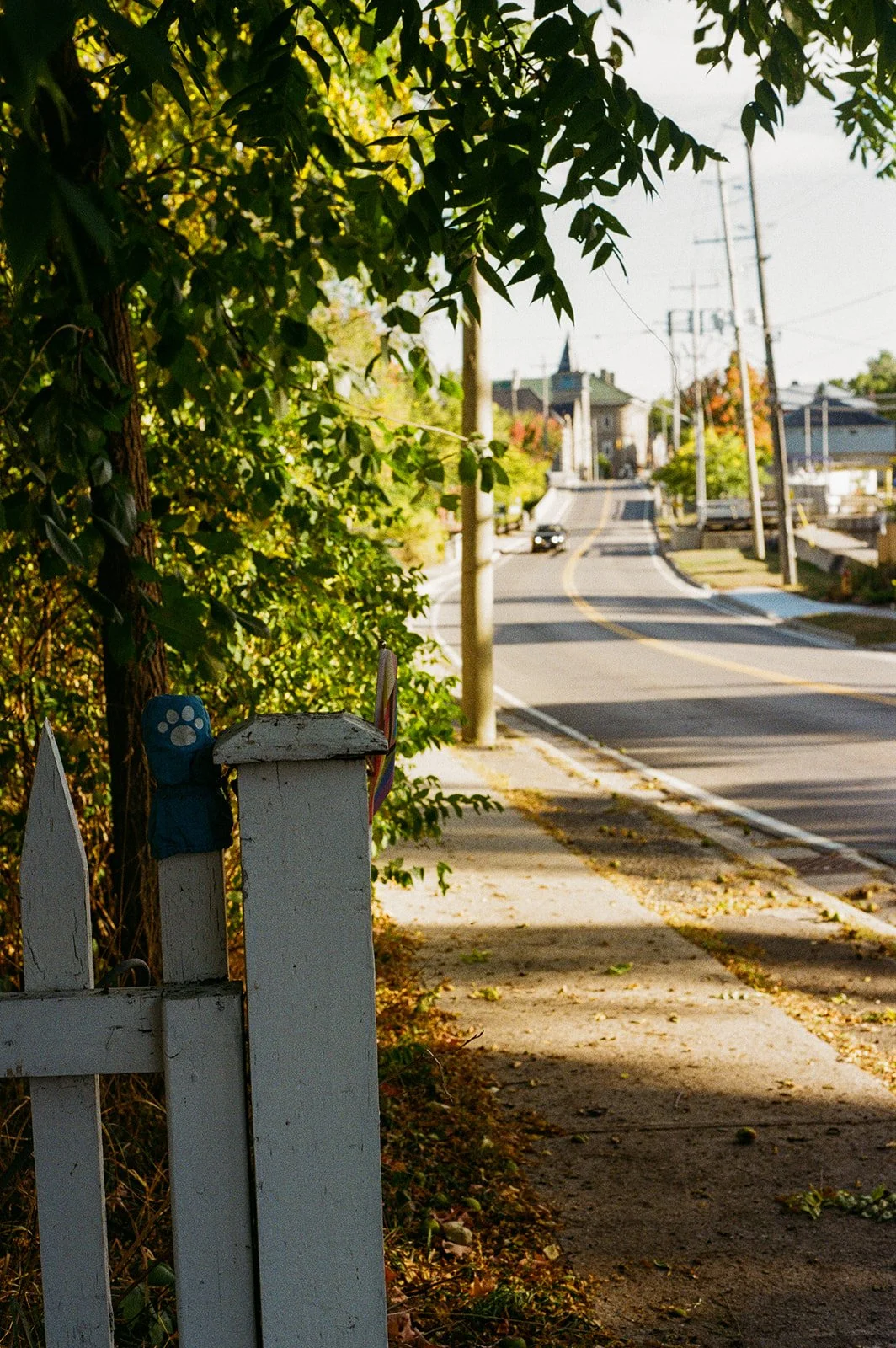 Sept20.2025KMDFilmPhotography-228.jpg