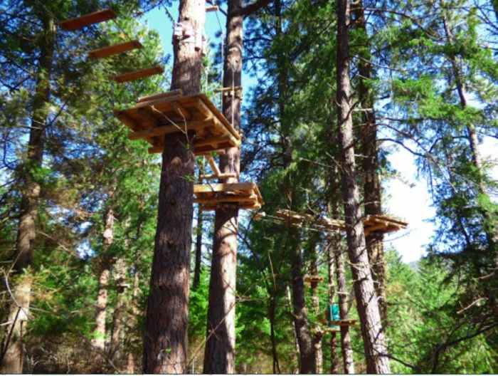 Tree to Tree Idaho Adventure Park