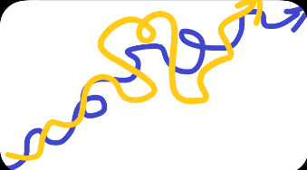 image2 - Copy.png