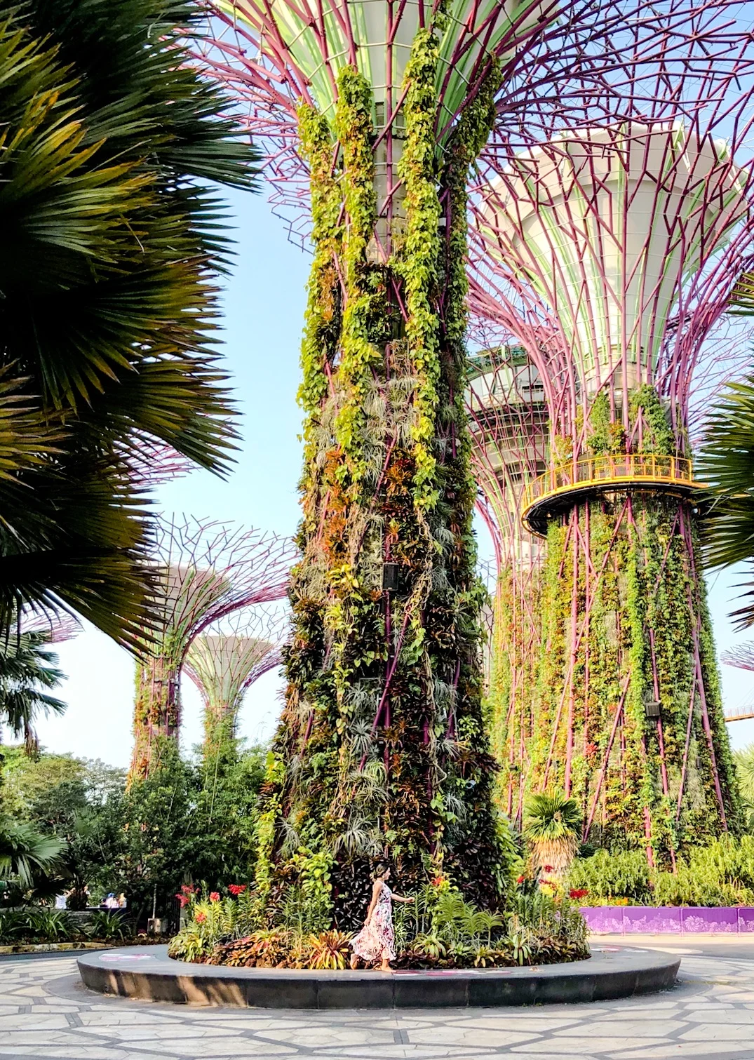 Gardens by the Bay in Singapore