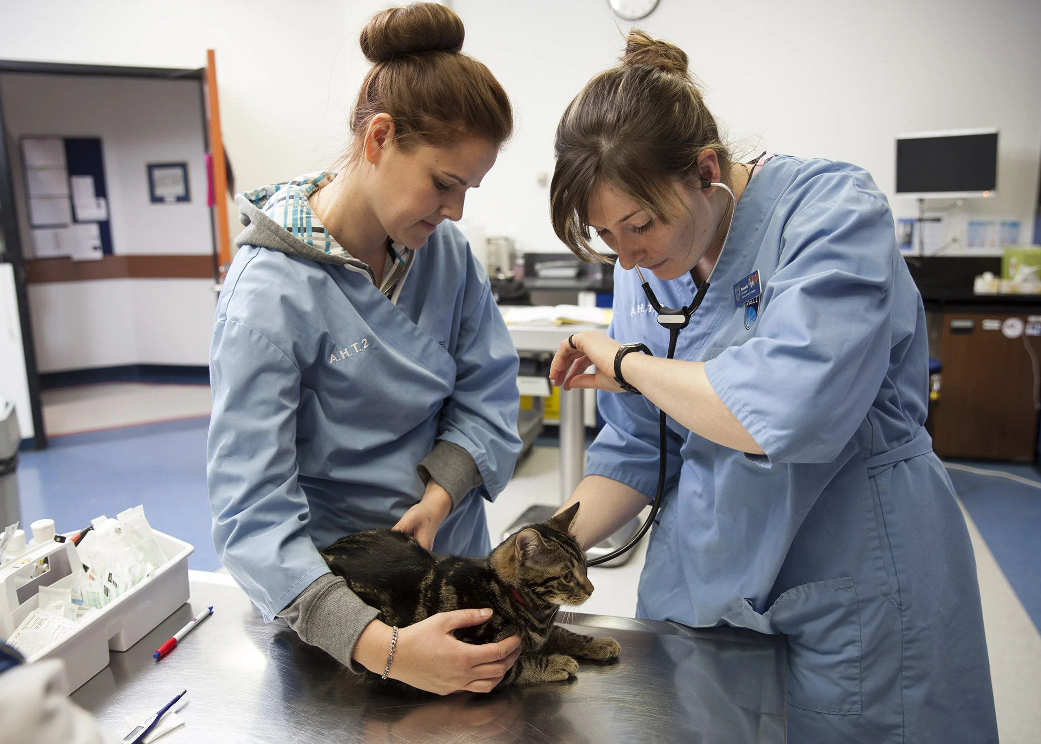 veterinarians.jpg
