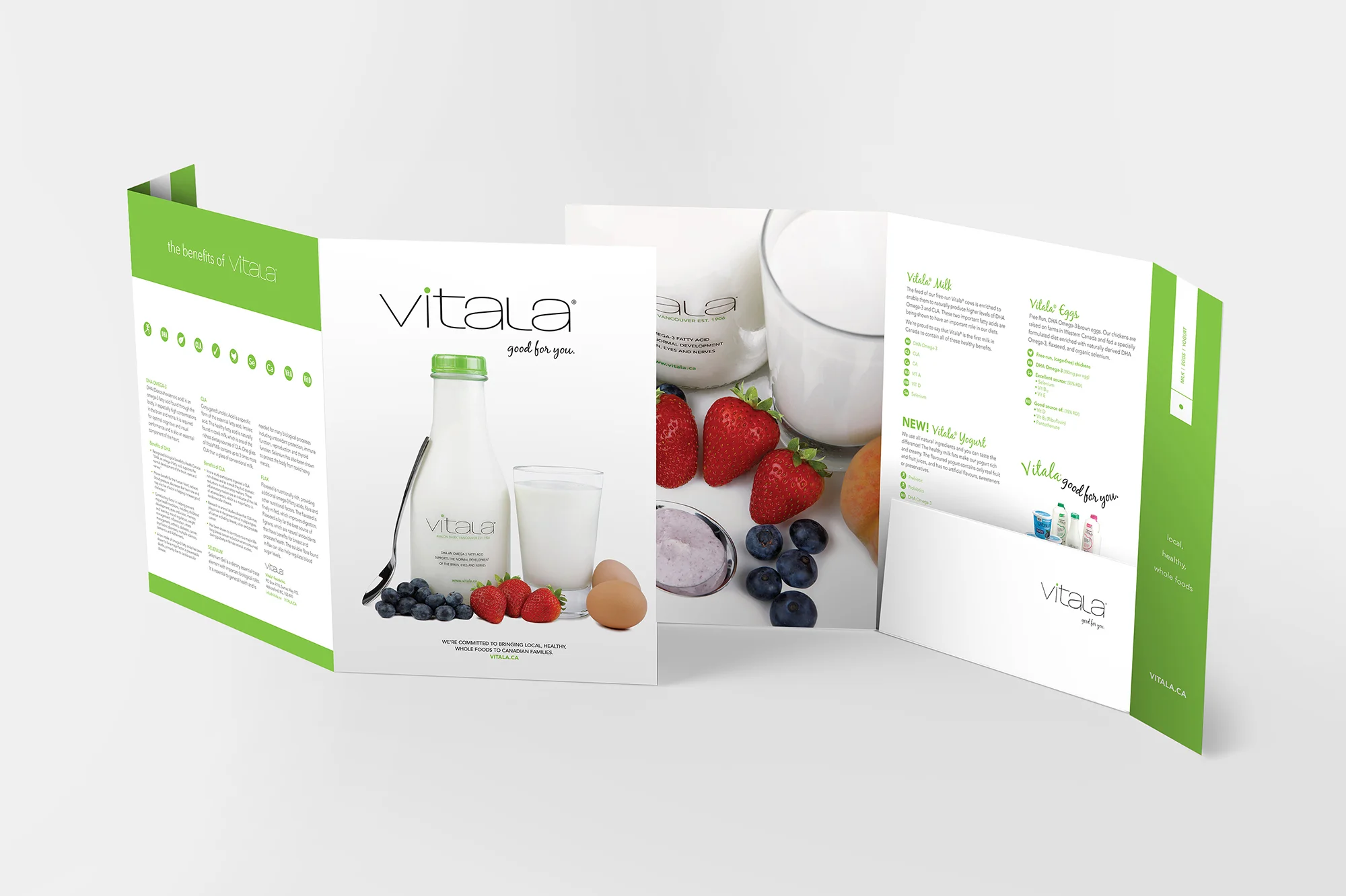 Vitala_Presentation_Folder.jpg