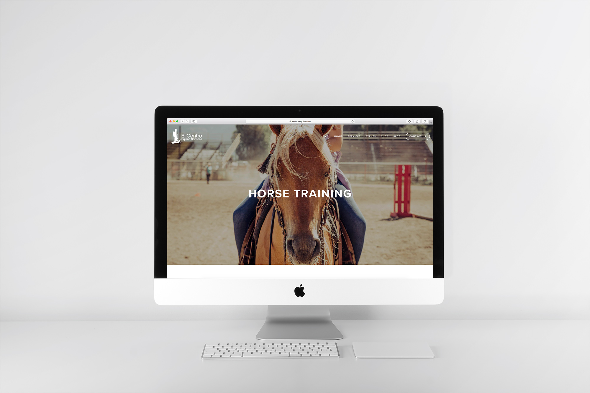 EL_Centro_Website_Horse_Training.jpg