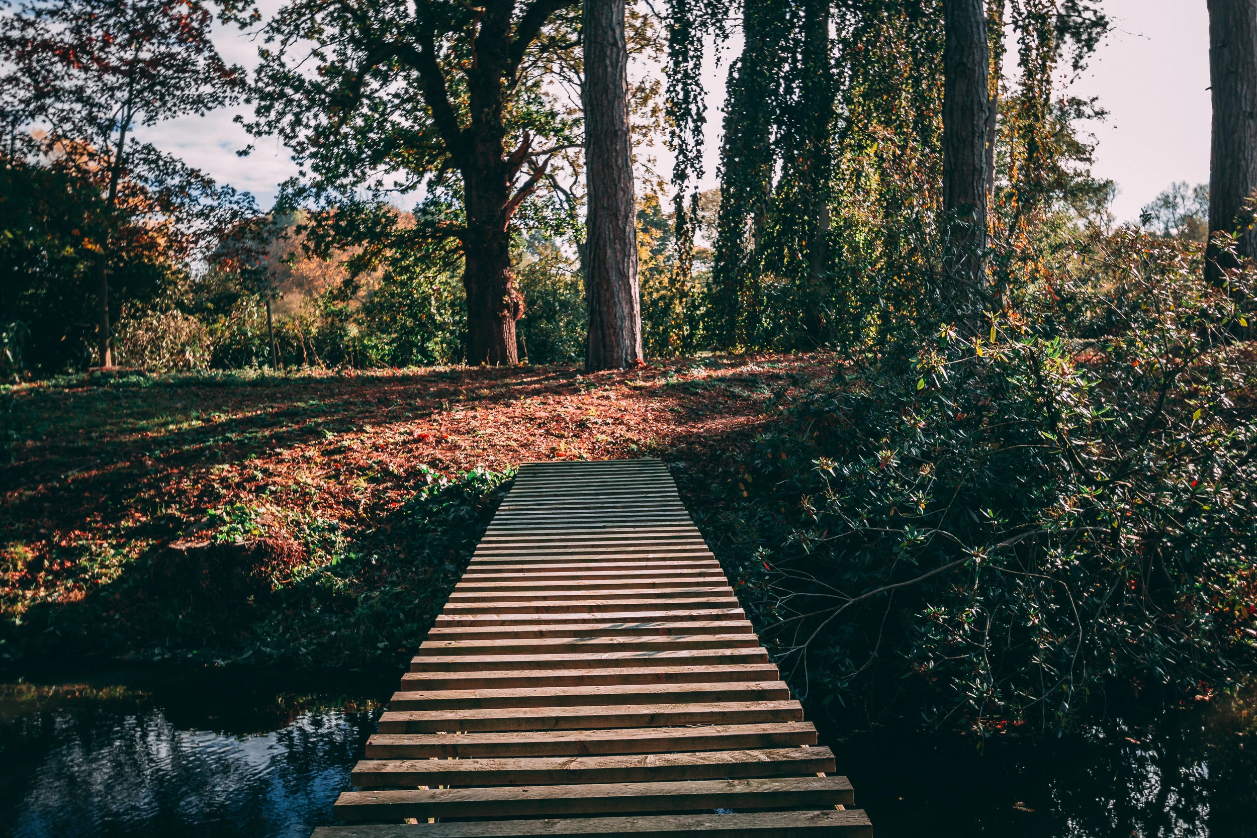 Autumn Bridge