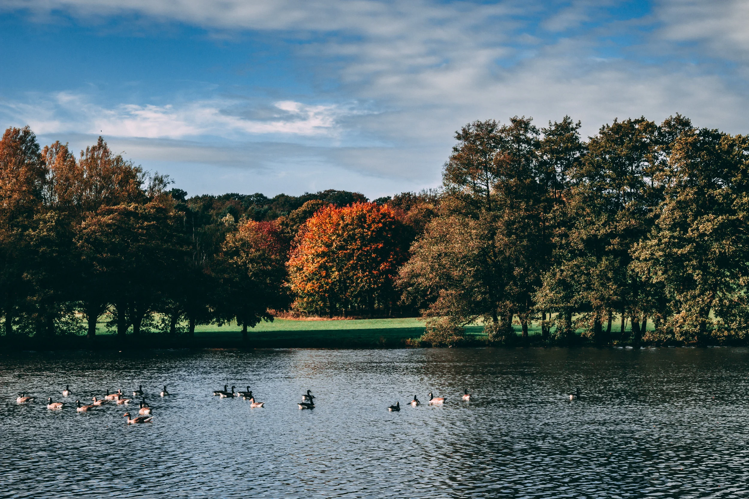 Autumn Lakeside-2