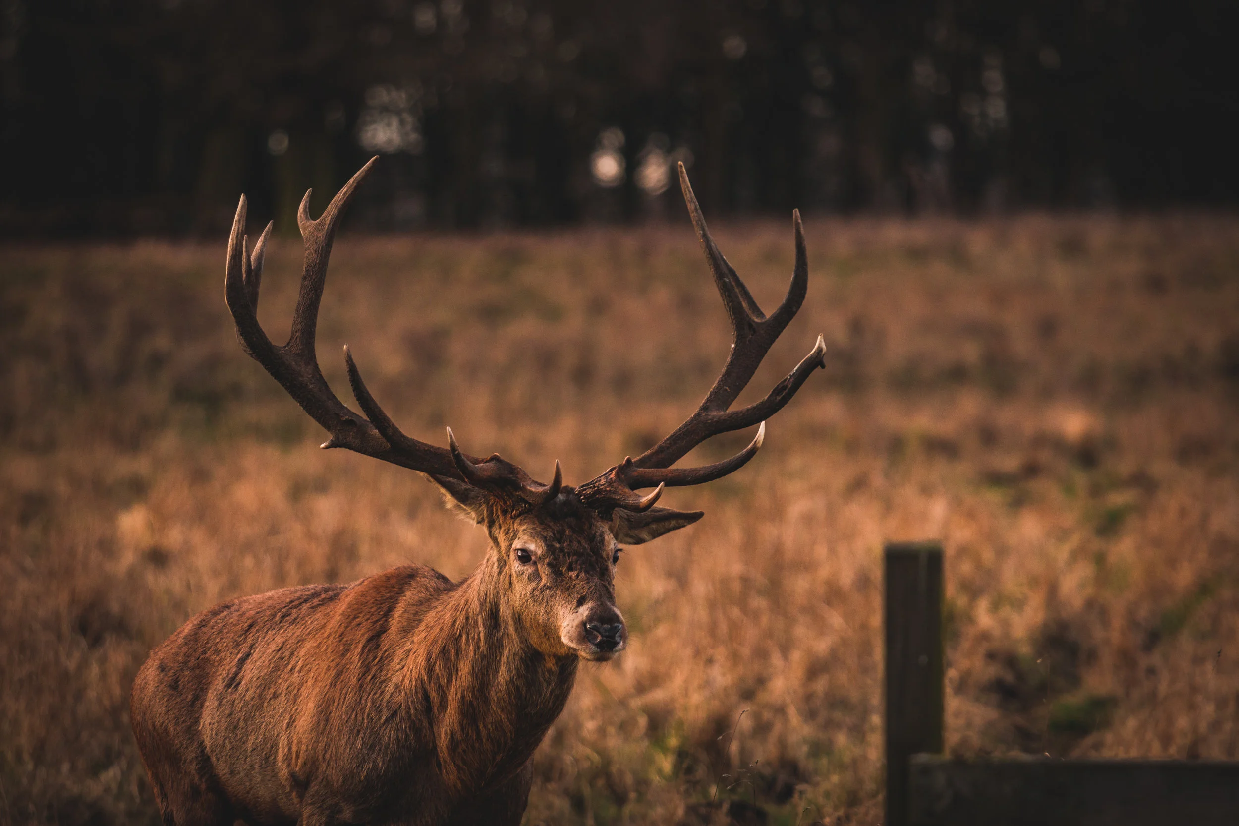 Photographer: James Evans