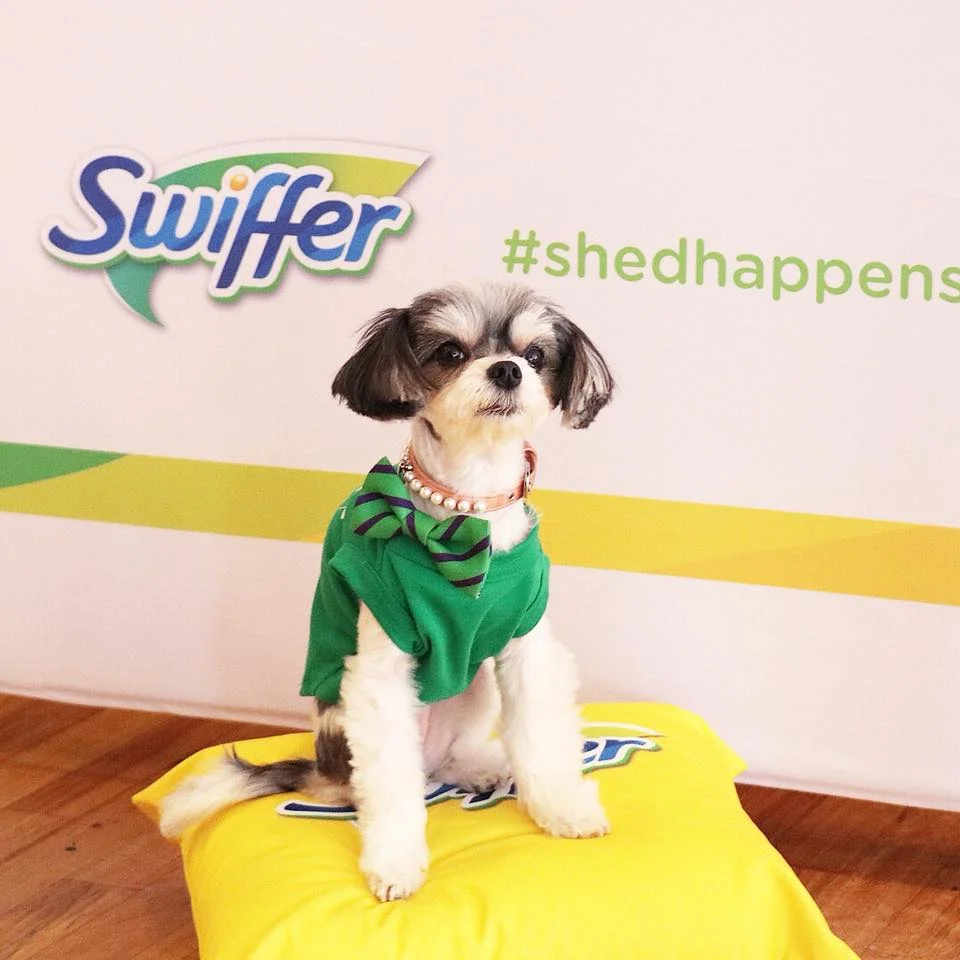 Swiffer