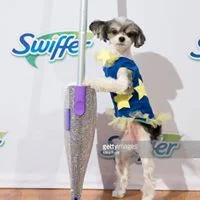 Swiffer