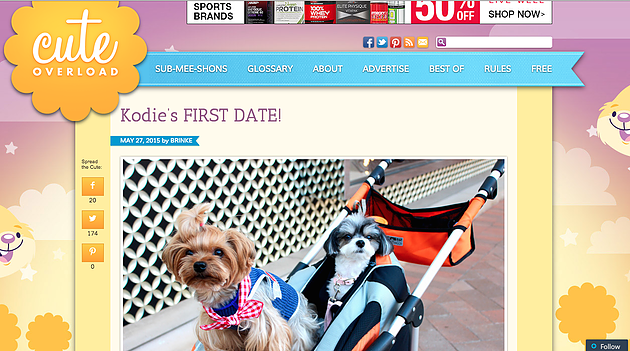 be09da_4f984c2be07149ababf3fac99ab864bb.png