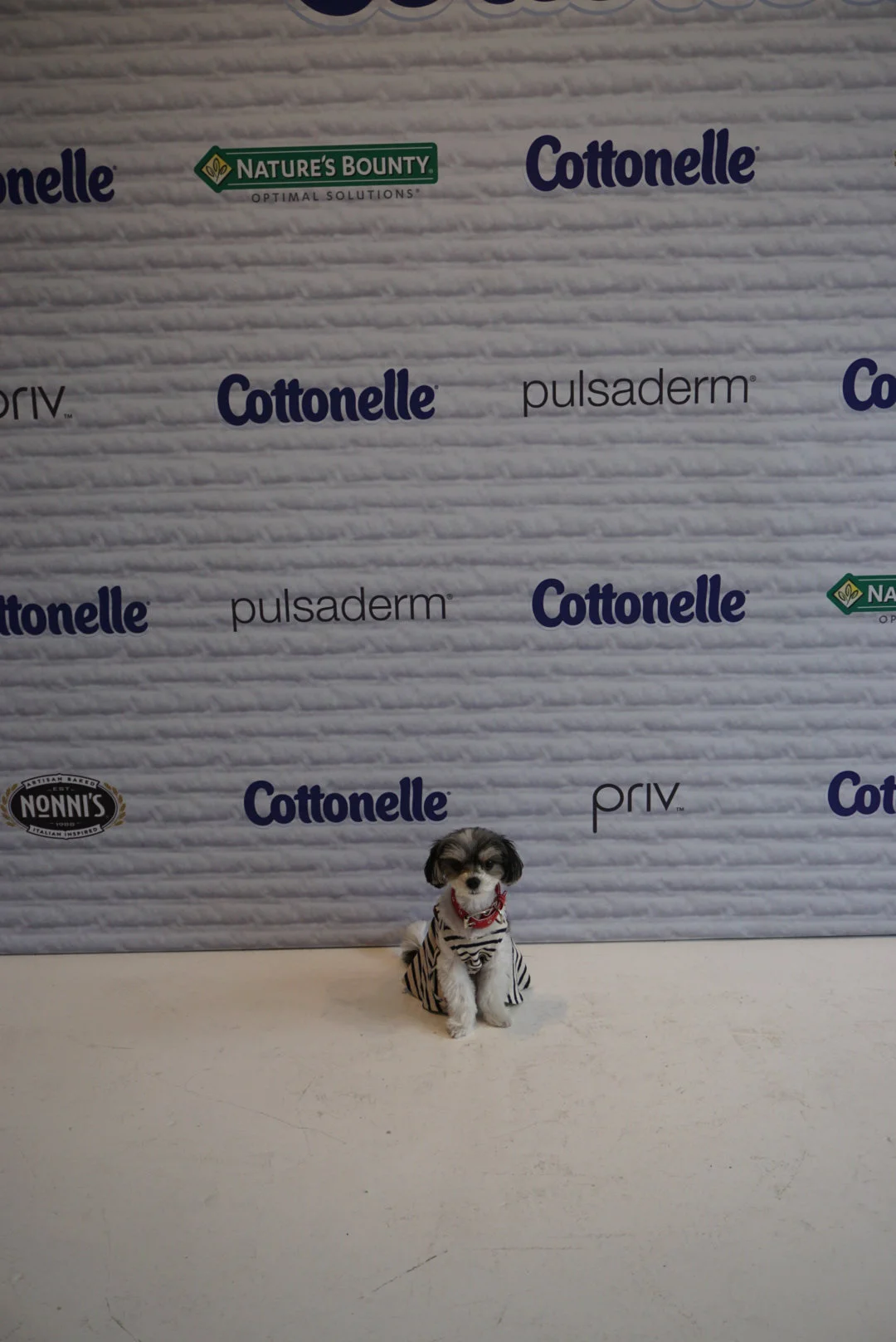 step and repeat at #nyfw beauty bar presented by cottonelle