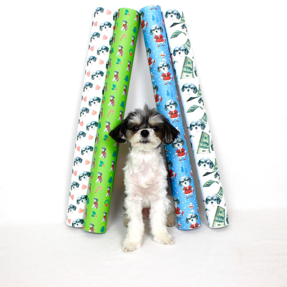 1. gIFT WRAP MY FACE (CUSTOM SELFIE GIFT WRAPPING PAPER) - ($9.95 - $16.95) TINKERBELLE: "PUT YOUR FAVORITE PERSON OR POOCH ON YOUR WRAPPING PAPER"