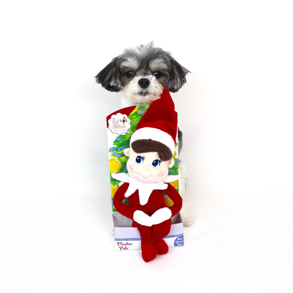 elf on the shelf plushee - ($12.95) tinkerbelle: "cuddle up by the fireplace with your elf on the shelf plushee"