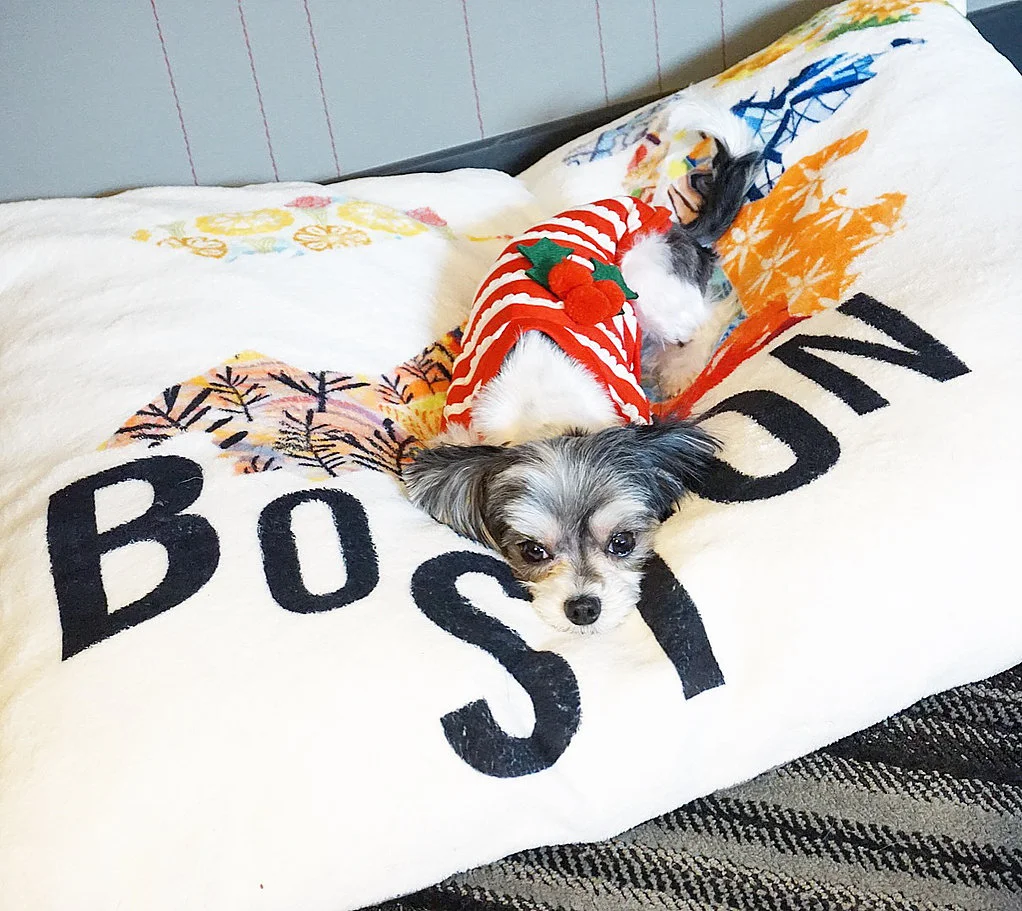 #TravelingTink - Kimpton Onyx Hotel - Boston, MA
