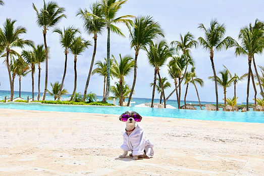 #TRAVELINGTINK vacations at Eden Roc Cap Cana Resort- Punta Cana, Dominican Republic