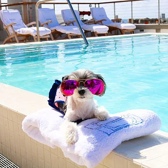 #TRAVELINGTINK - South Beach- Miami, FL