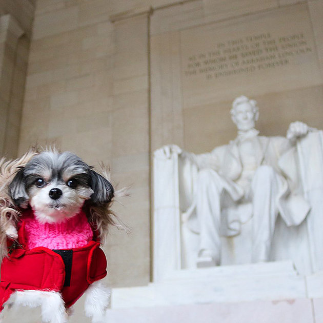 I checked out the historical sights like The Lincoln Memorial