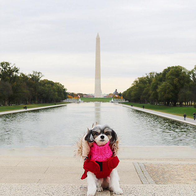 and the Washington Monument