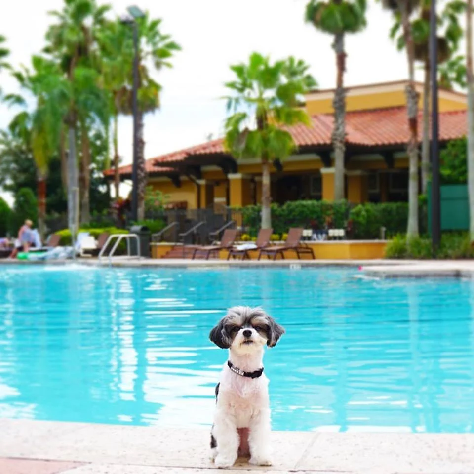Floridays Resort Orlando