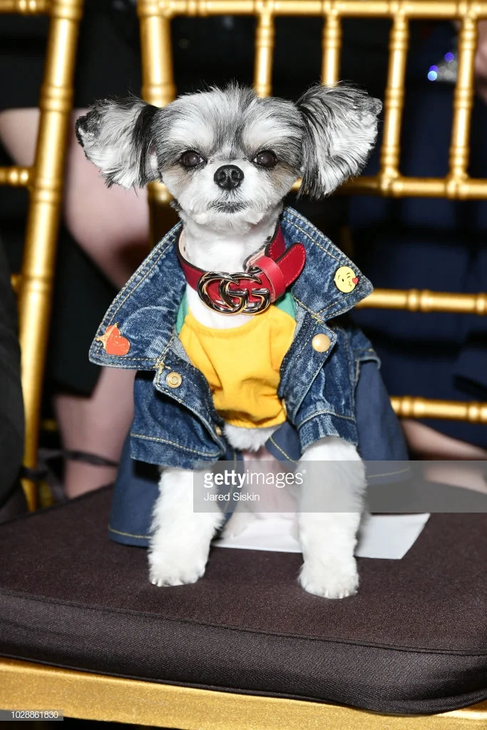 Tinkerbelle front row at Sherri Hill NYFW SS19