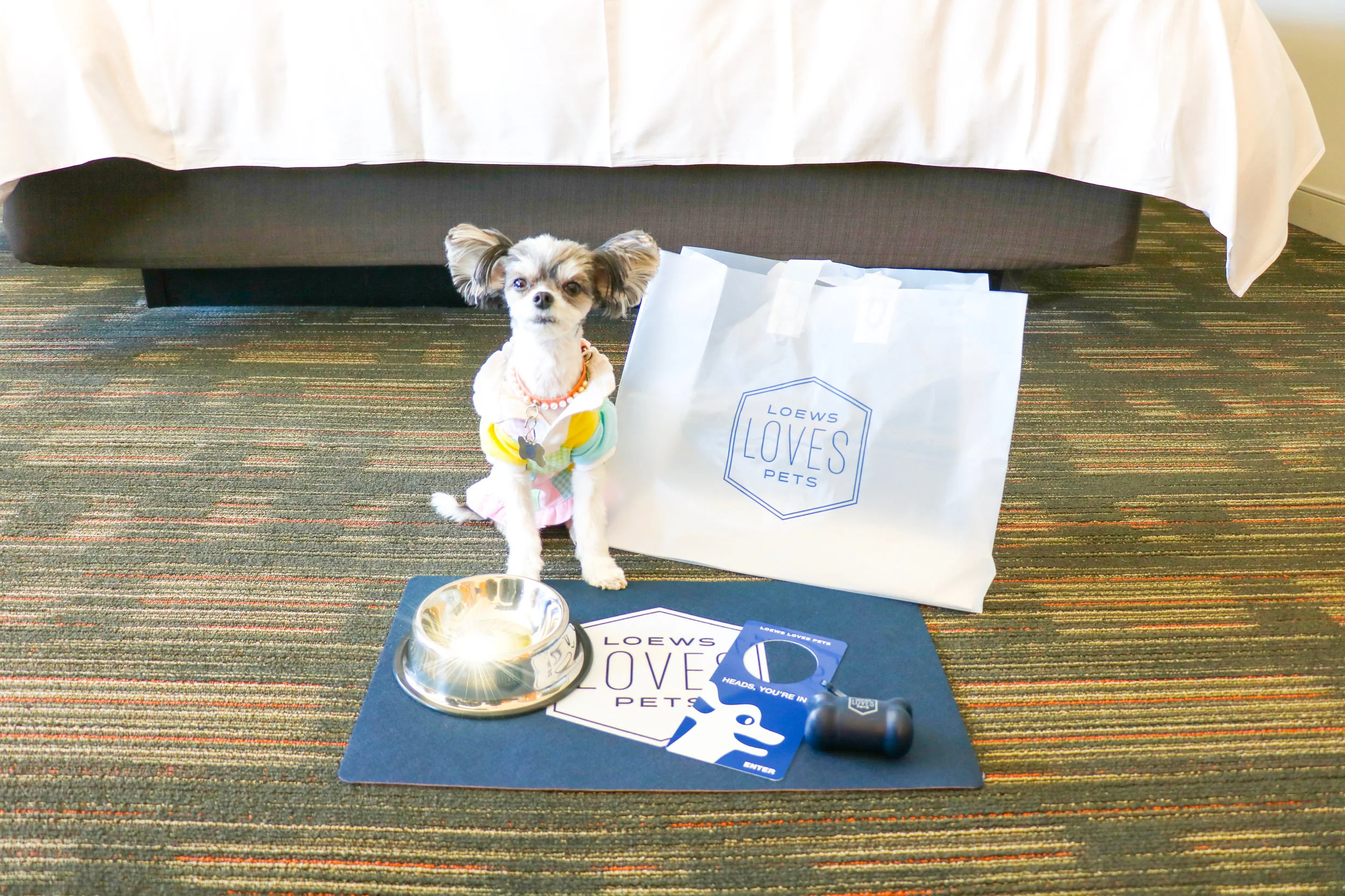 LOEWS LOVES PETS PROGRAM