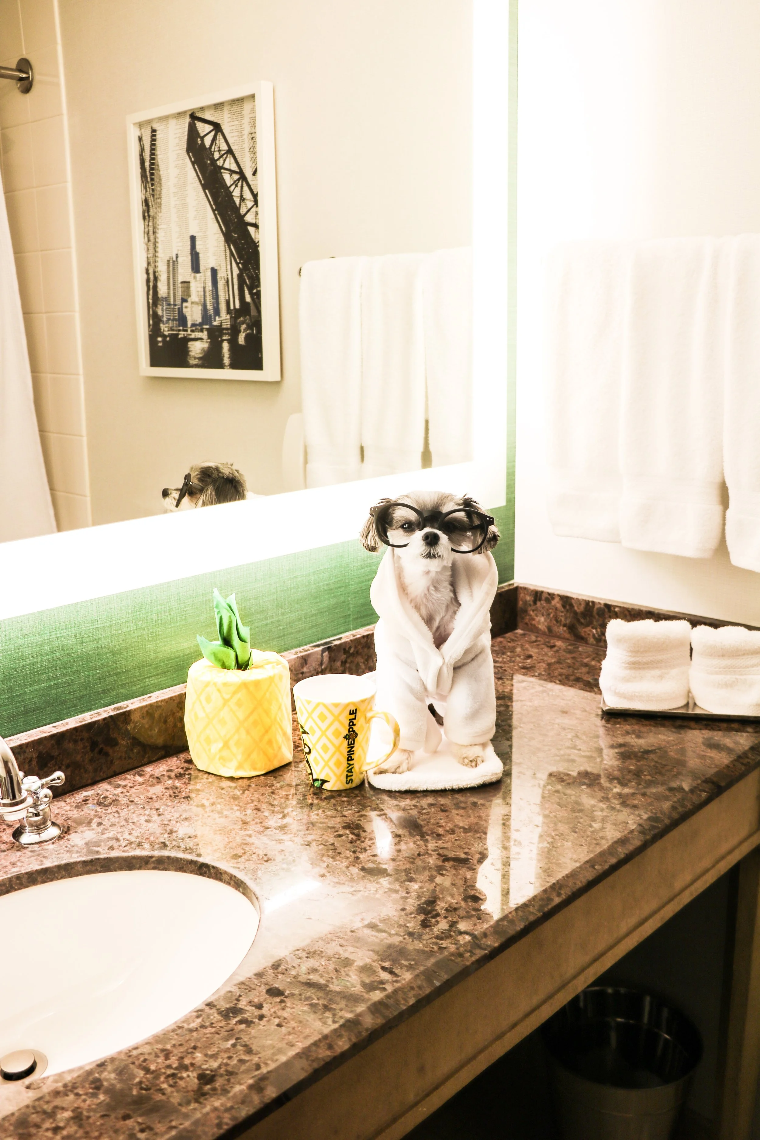 TRAVELINGTINK x STAY PINEAPPLE Chicago, IL — Tinkerbelle The Dog®