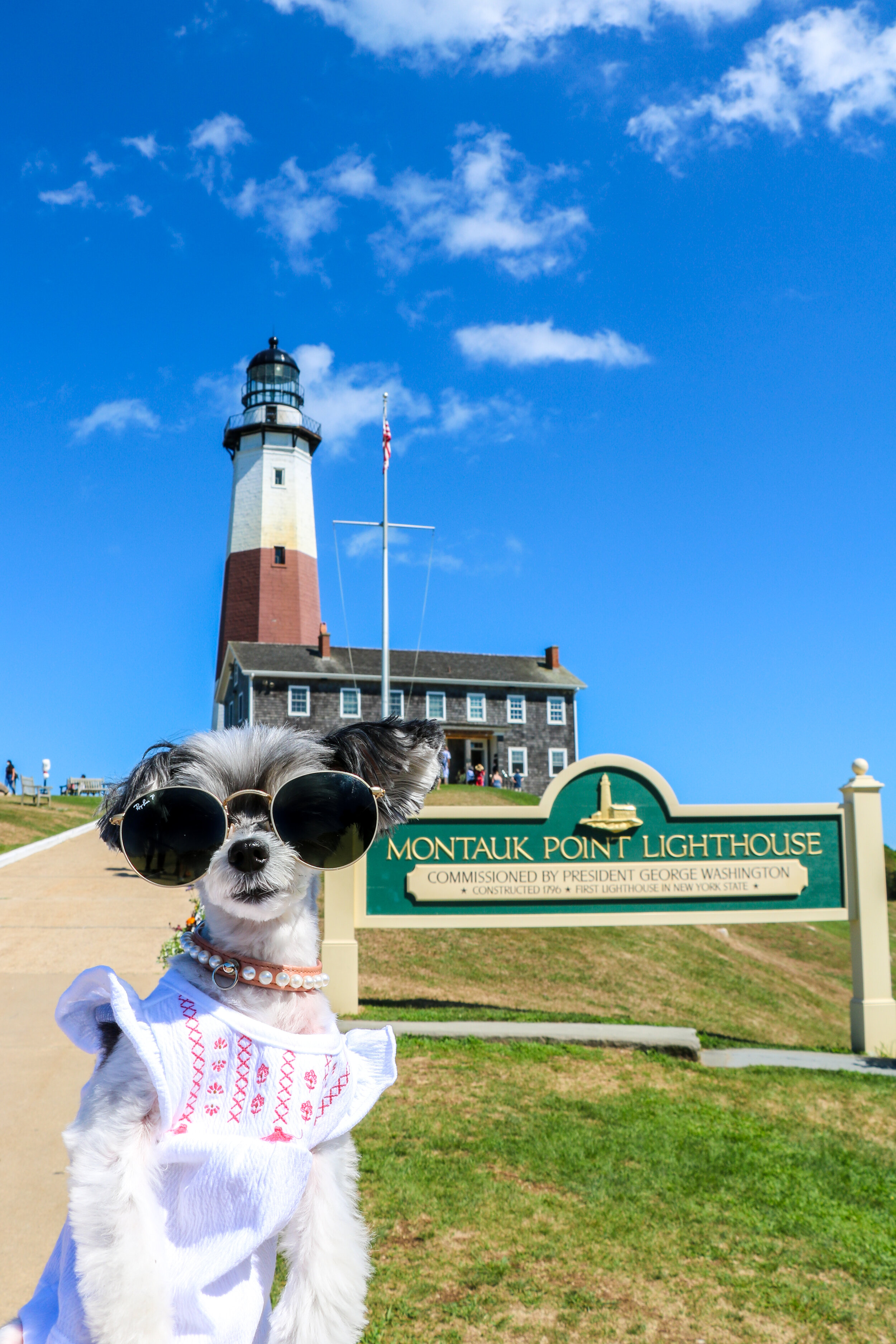 #TRAVELINGTINK ROAD TRIPS - MONTAUK, NY