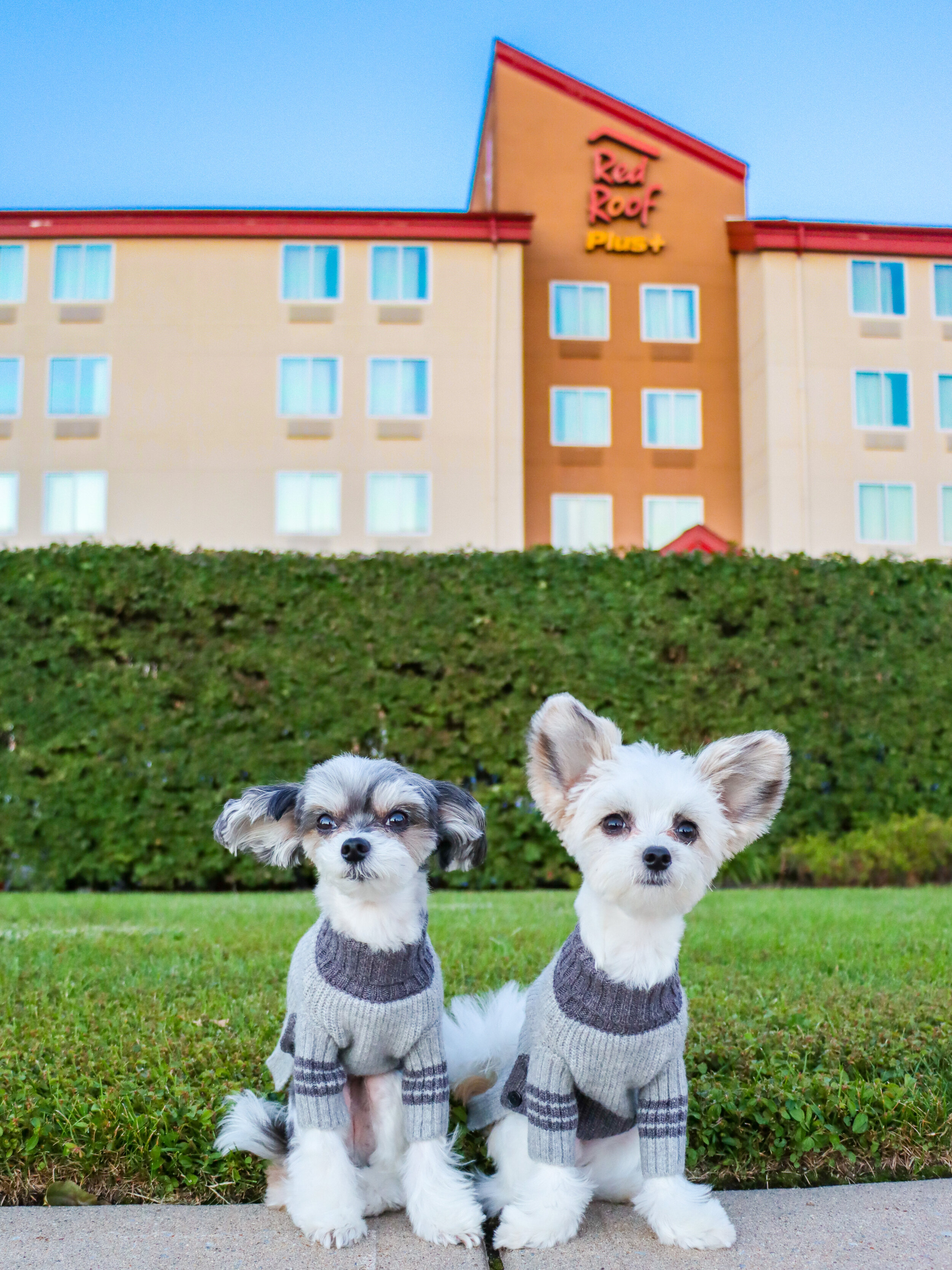 #TRAVELINGTINK x RED ROOF