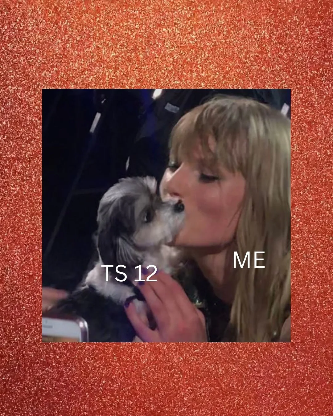 WOOF! LET US KNOW IF THIS IS HOW YOU FOUND OUT ABOUT @taylorswift&rsquo;s 12th ALBUM :

🧡THE LIFE OF A SHOWGIRL🧡 

#ts12 #thelifeofashowgirl #swiftiepups