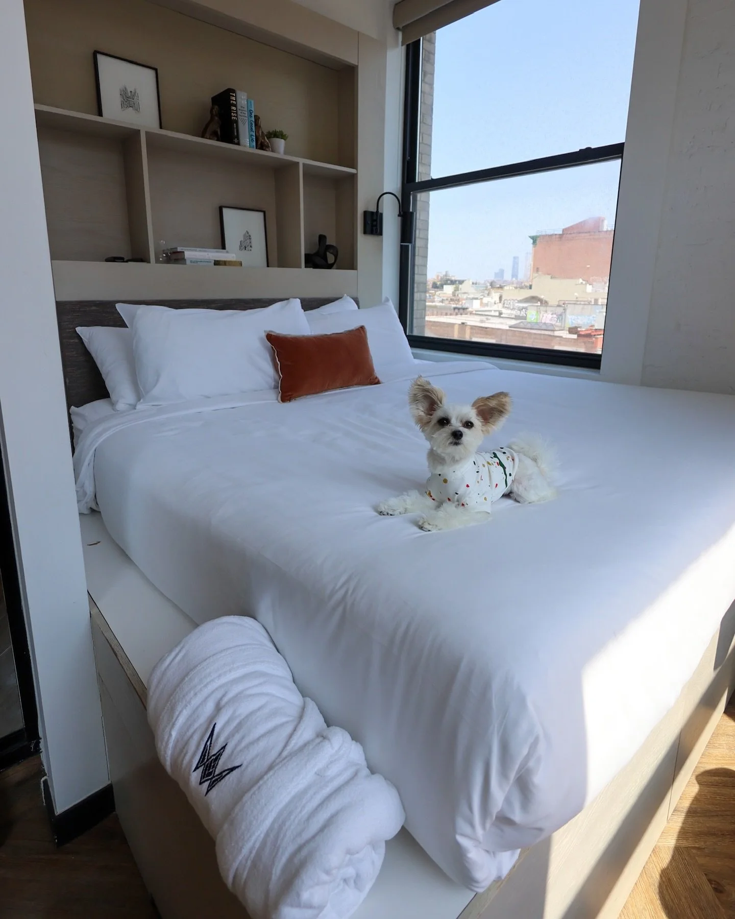 ✨🐾 Staycation mode: ON 🐾✨
We are living our best spoiled pup lives this weekend at the gorgeous @walkerhotels Tribeca! We checked in for a weekend of total pampering with the Inner Pup Package 🐶💖 the package includes special meals + treats from O