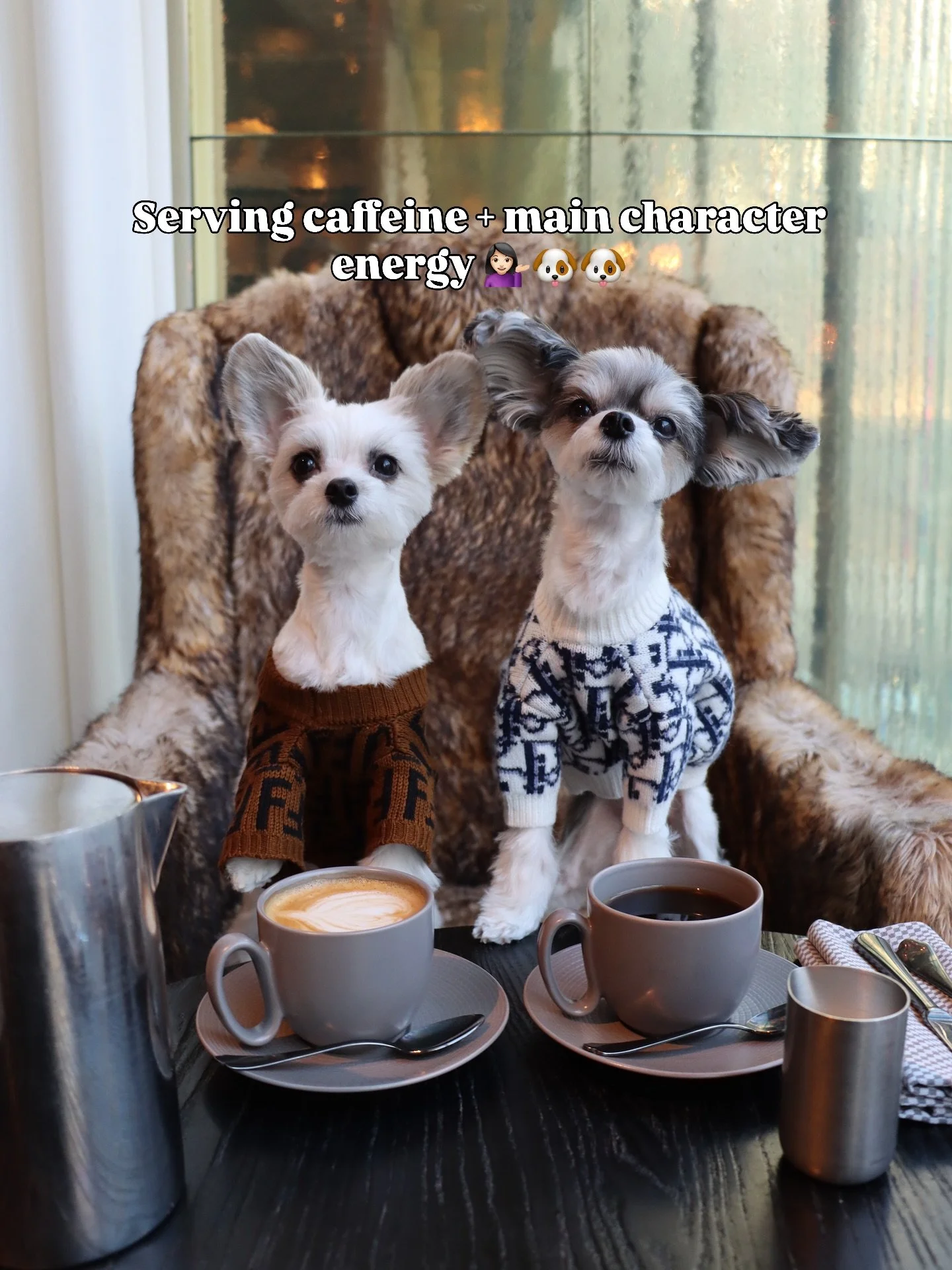 Happy National Coffee Day from your fav coffee girlies ☕💕🐶 #nationalcoffeeday