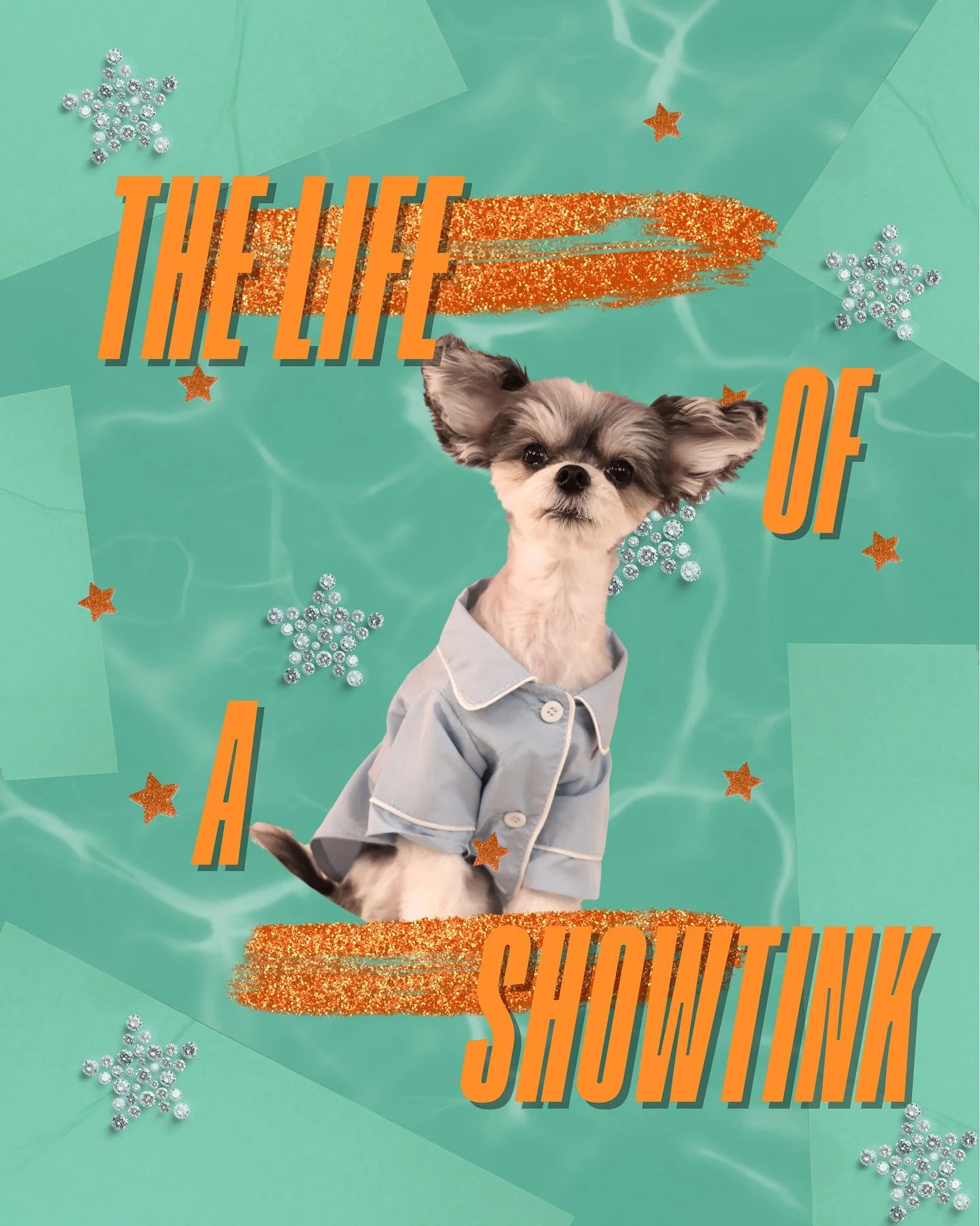 &ldquo;Oftentimes it doesn&rsquo;t feel so glamorous to be us&rdquo; - Tinkerbelle &amp; Belle ❤️&zwj;🔥🎶💿🌟 

HAPPY #tsthelifeofashowgirl day!!! What track are you most excited to hear???