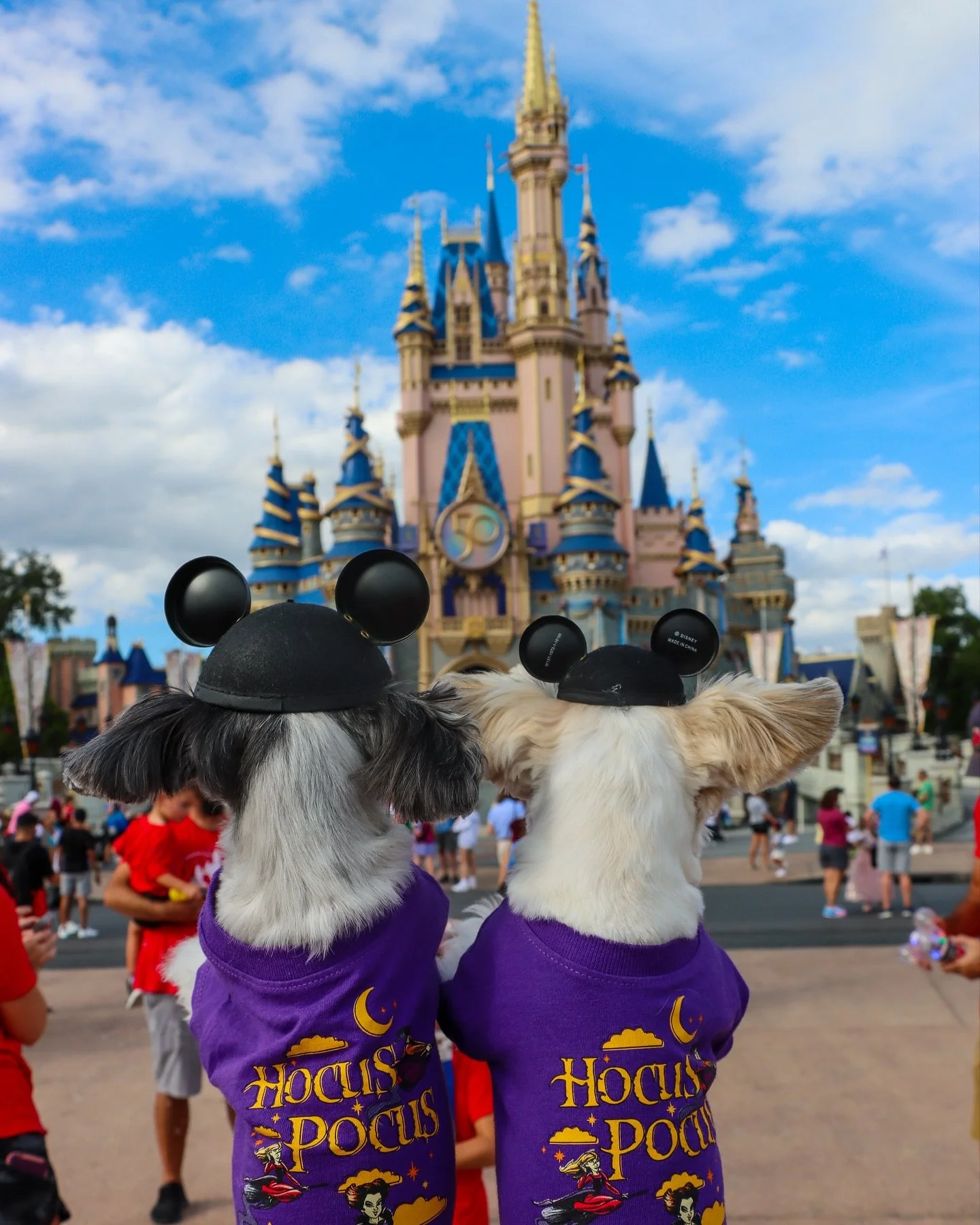 “It’s just a bunch of hocus pocus in the magic kingdom” - Tinkerbelle & Belle 🏰🫶🏽🧙‍♀️🎃